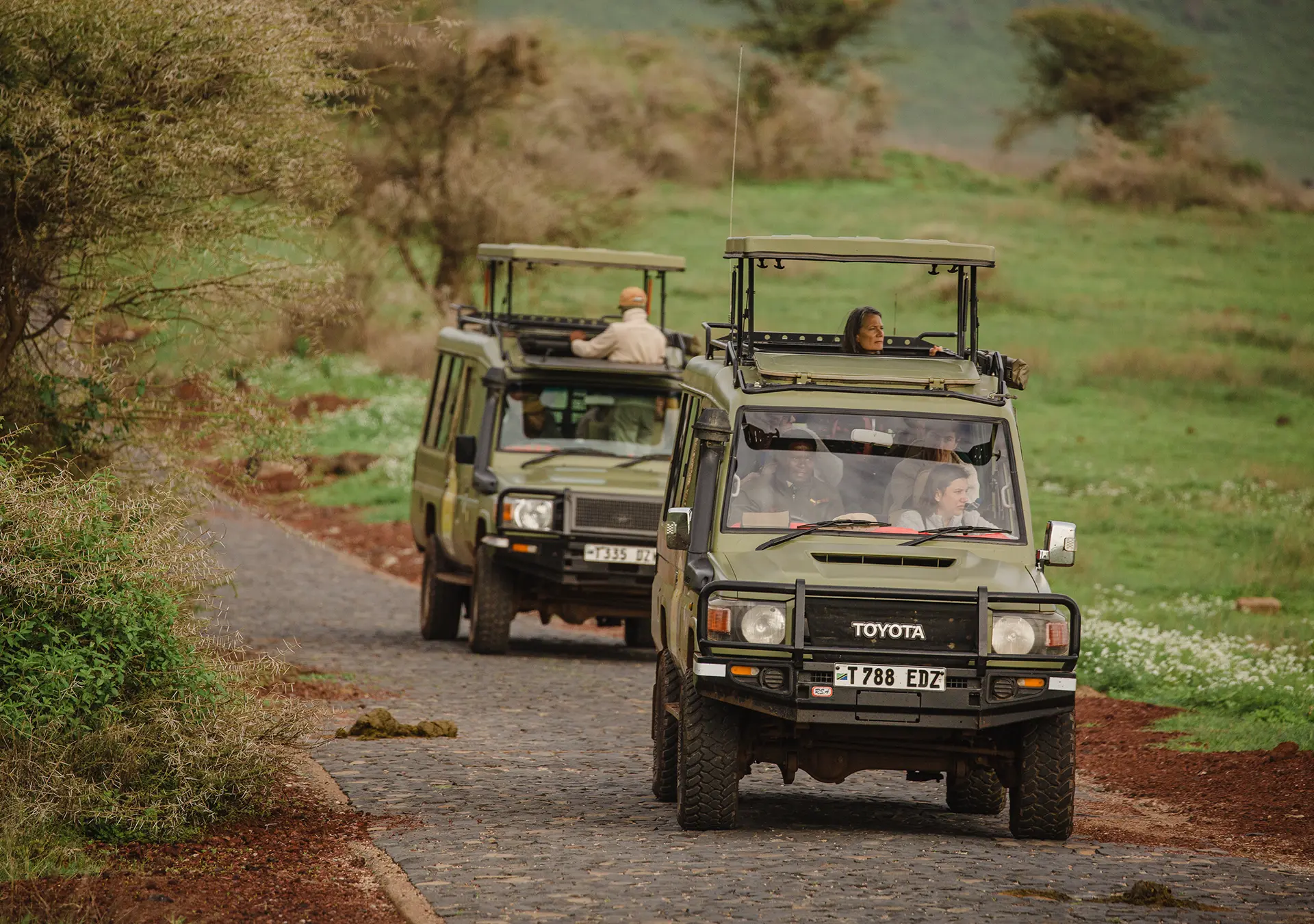 Two safari vehicles driving along a dirt road through a green savannah landscape.