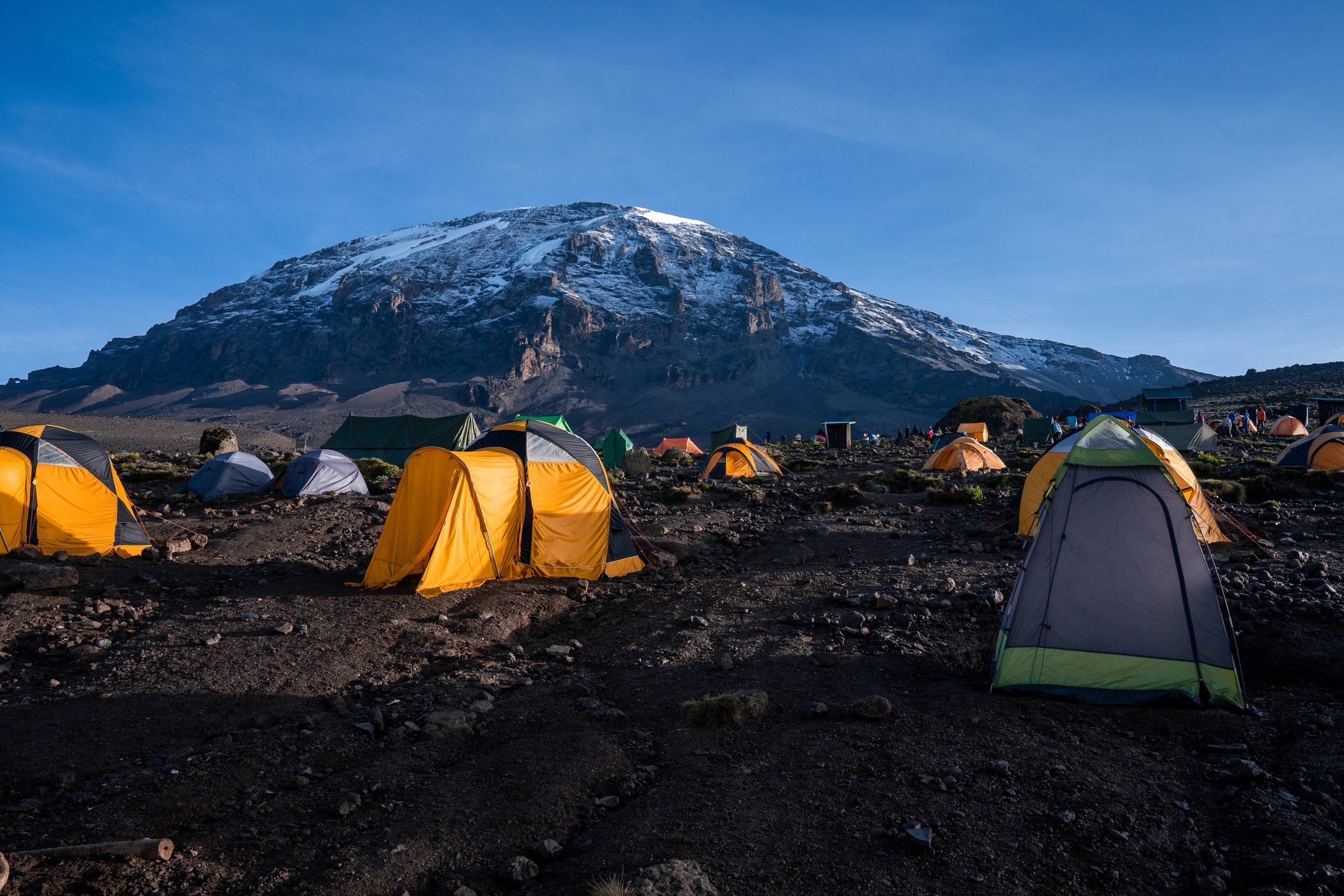 iStock 1437524441 scaled