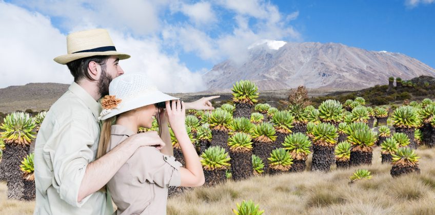 A couple in safari gear using binoculars and pointing at the snow-capped Mount Kilimanjaro with unique plants in the foreground.
