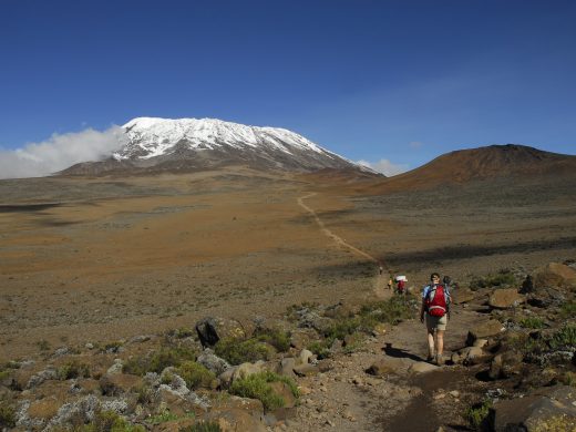 On,The,Slope,Of,Mount,Kilimanjaro