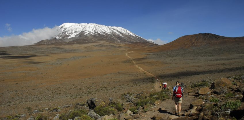 On,The,Slope,Of,Mount,Kilimanjaro