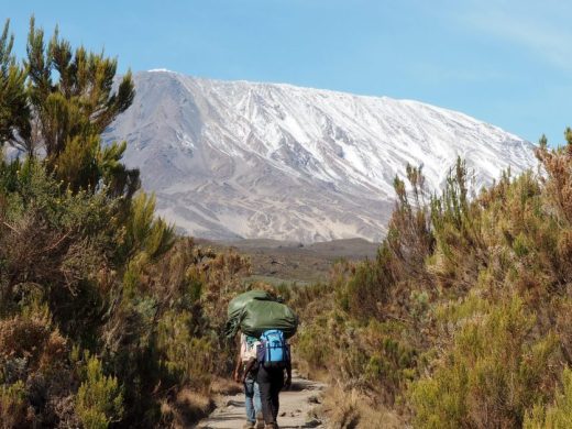 Tanzania,,Kilimanjaro,National,Park.,View,To,Snow,Caped,Uhuru,Peak