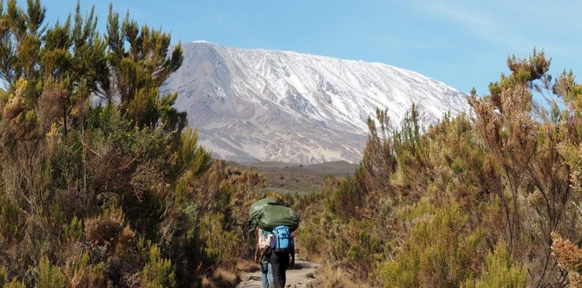 Tanzania,,Kilimanjaro,National,Park.,View,To,Snow,Caped,Uhuru,Peak