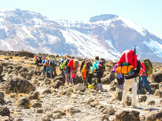 Kilimanjaro-Climbing-39