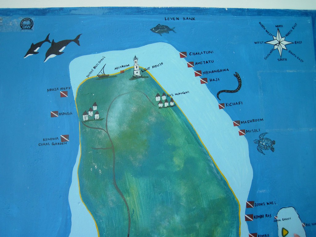 5377690836 eef1a9c734 b