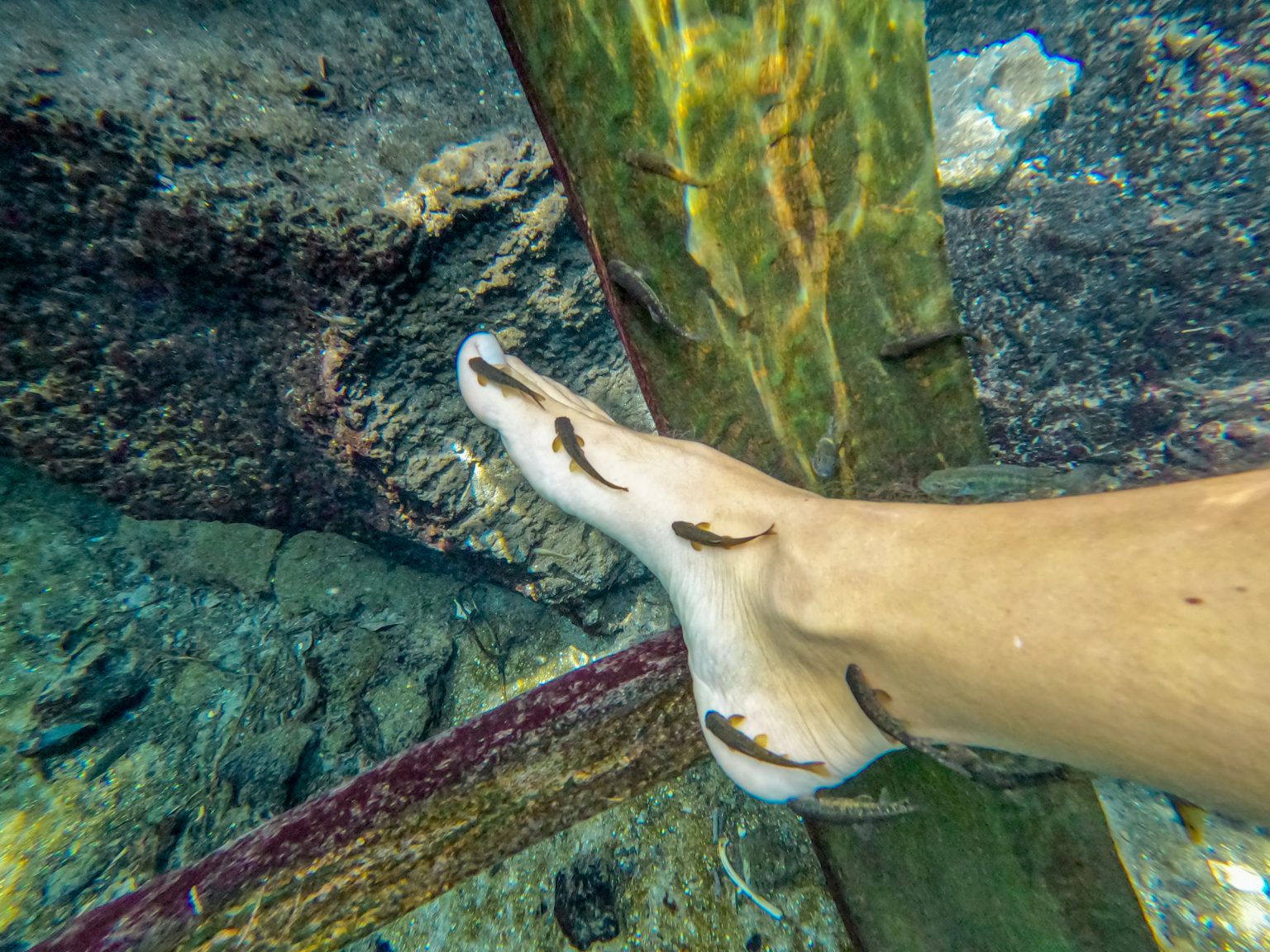 GOPR1002 1536x1152 1