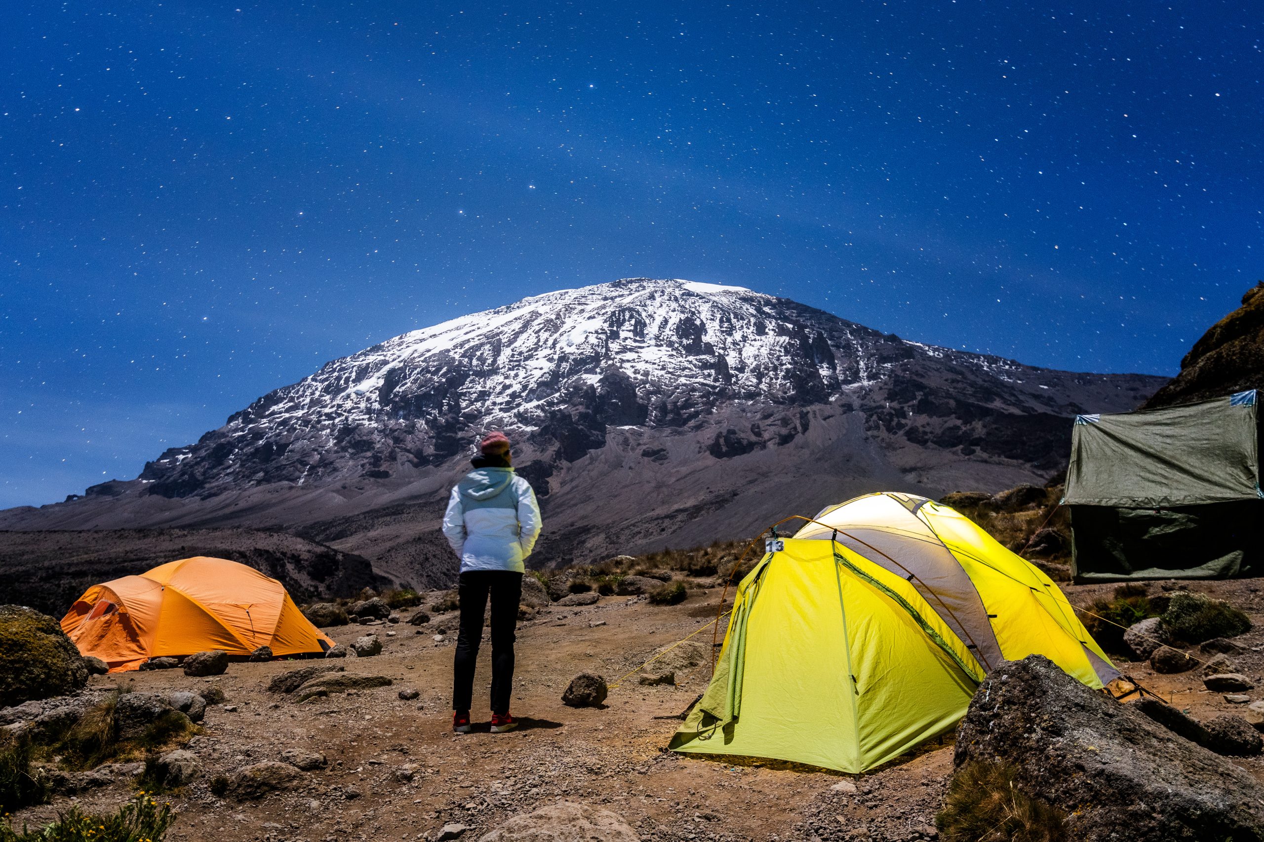 Guide to Lemosho Route: Kilimanjaro’s Most Beautiful Route