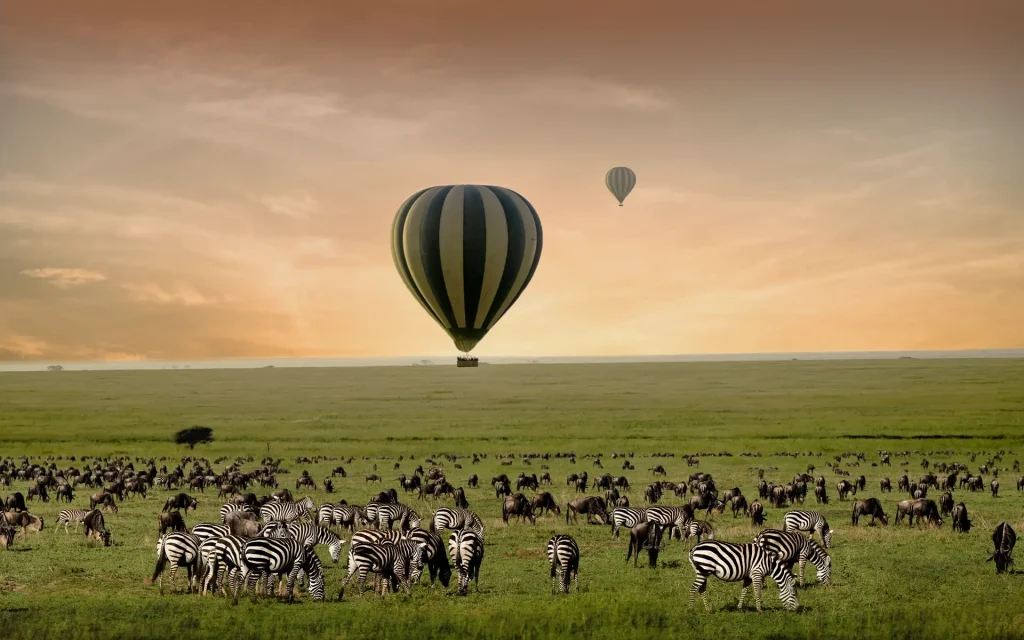 What to Expect on Safari: Experience the Magic of Tanzania 3 ONH W Activities Banner July2023 1 1