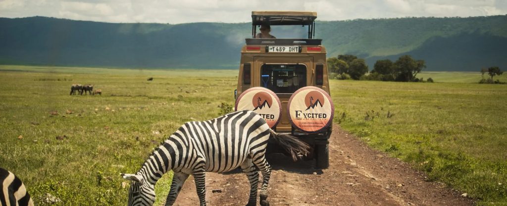 Best Time To Visit Tanzania 3 TS zebra