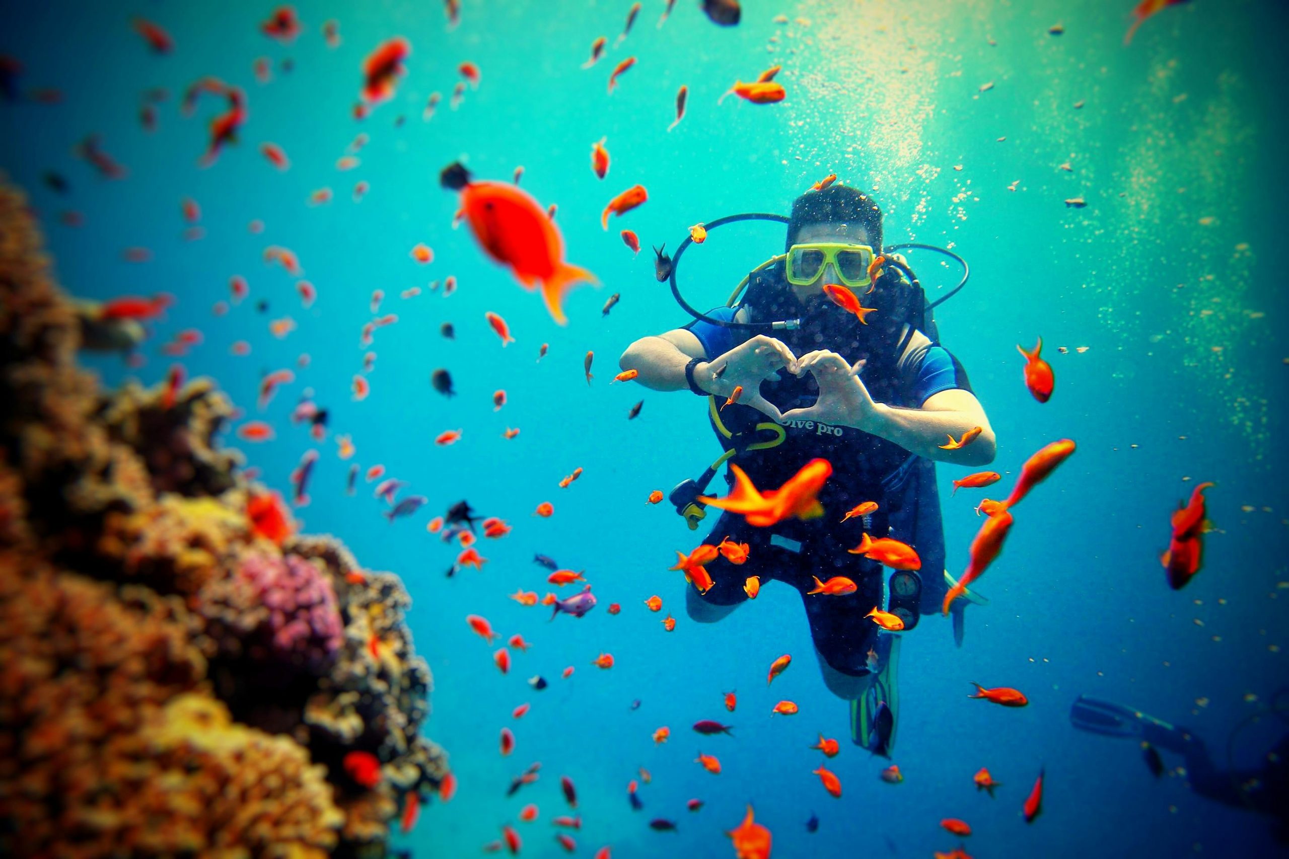 Bucket List Experience: Scuba Diving in Zanzibar
