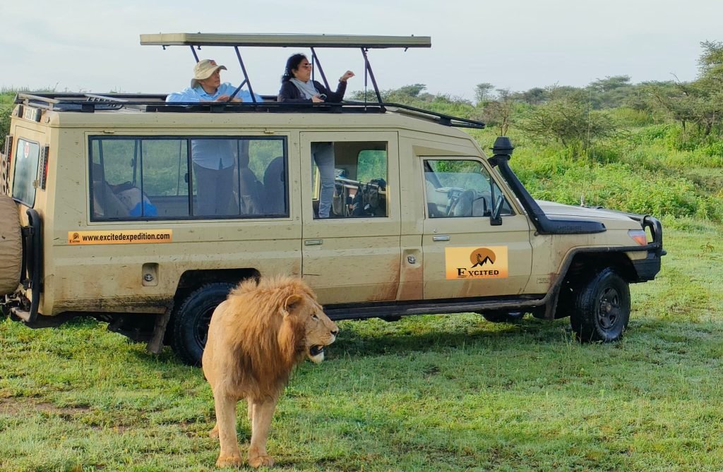 What to Expect on Safari: Experience the Magic of Tanzania 7 tanzania wildlife safariyh